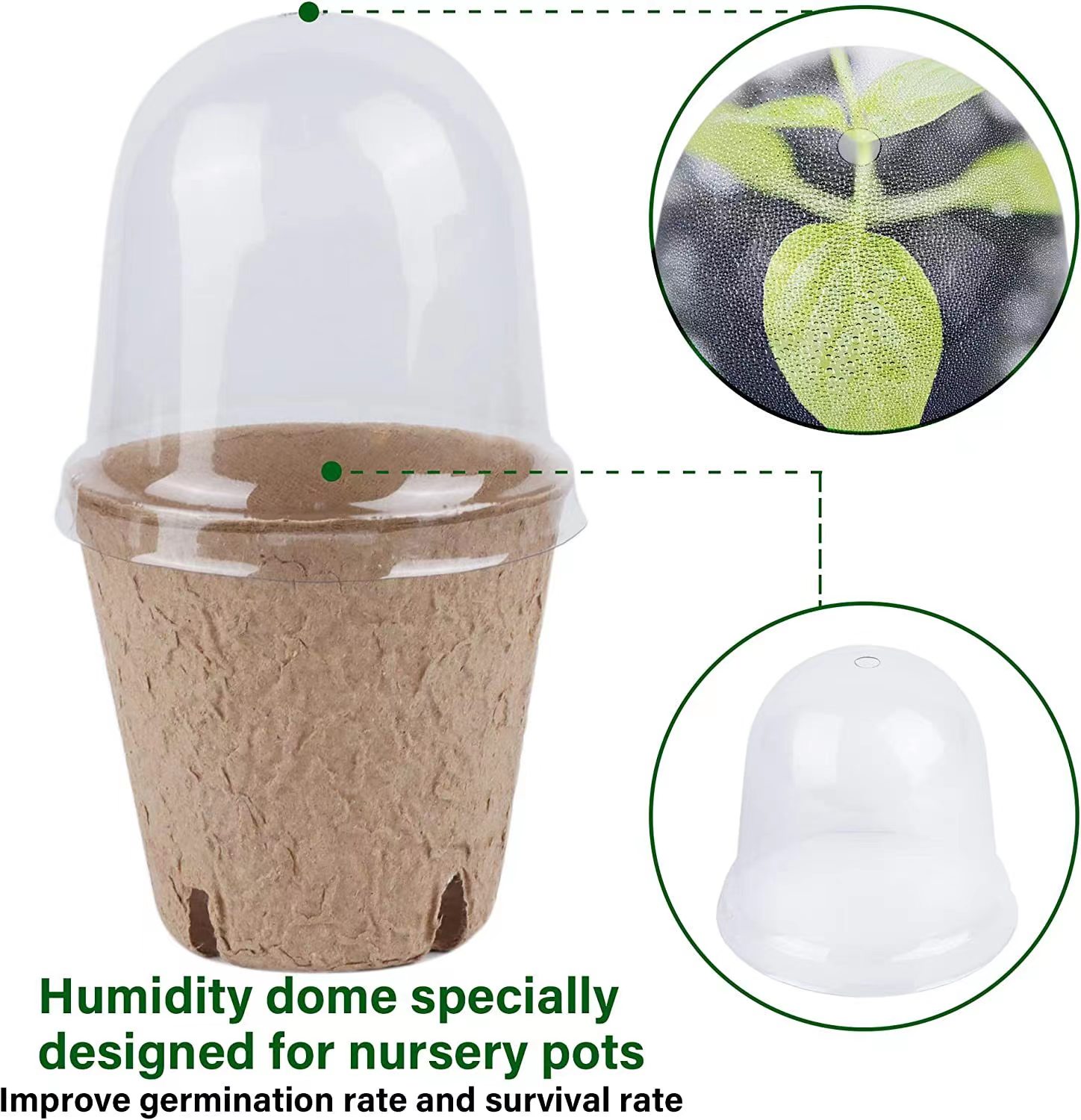 Seed Starter Biodegradable Pea - đánh giá và giá Indoor Herb Garden Kit