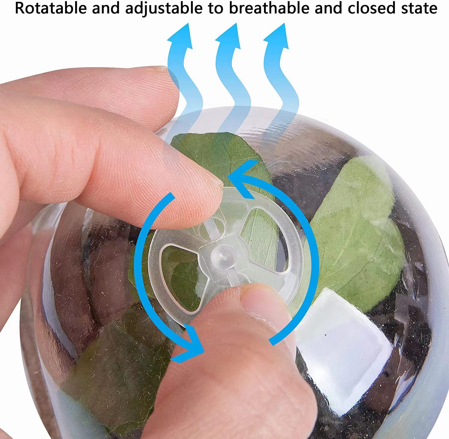 Seed Starter Biodegradable Pea - đánh giá và giá Indoor Herb Garden Kit