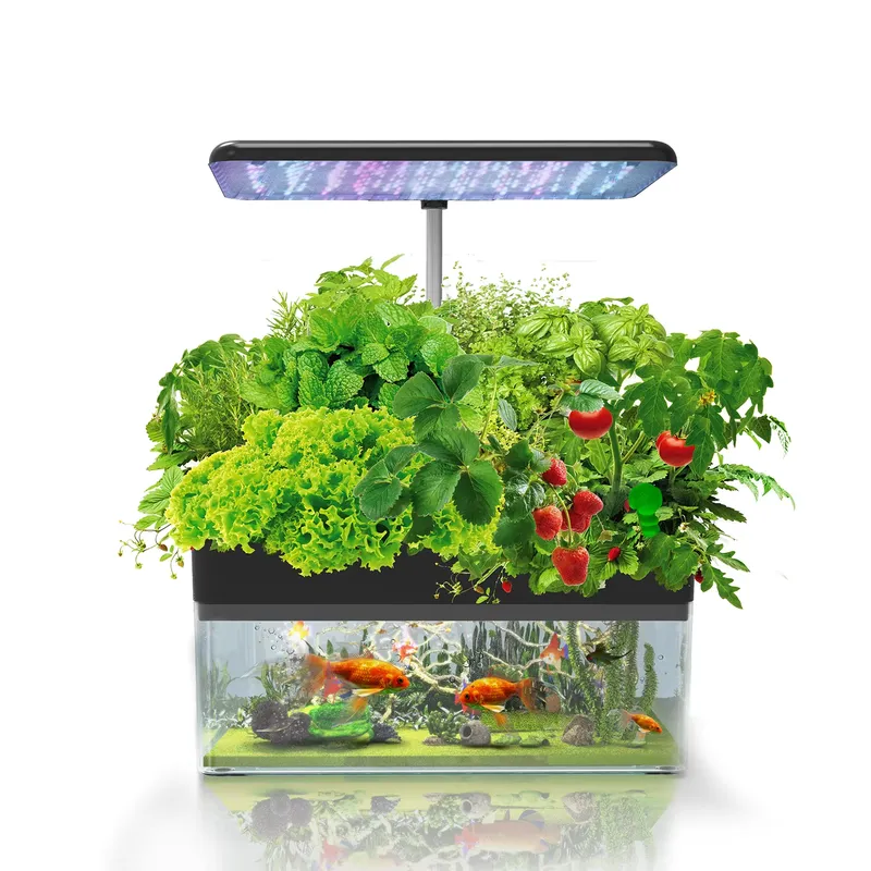 Brand IGS-70 Indoor Hydroponic - đánh giá và giá Smart Garden