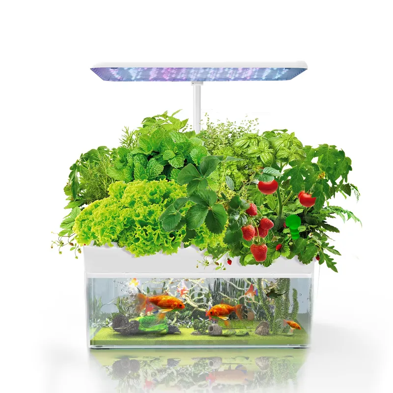 Brand IGS-70 Indoor Hydroponic - đánh giá và giá Smart Garden