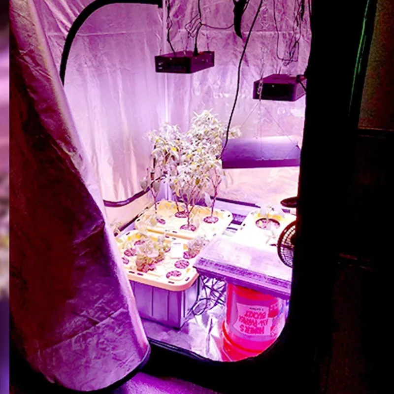ROHE 100x100x200cm Hydroponic  - đánh giá và giá Grow Tent Complete Kit