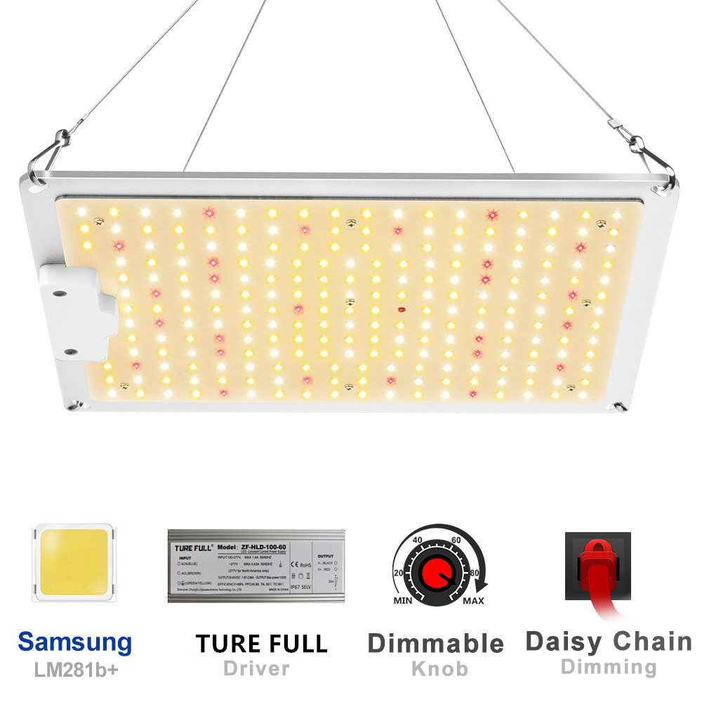 Grow Tent Growbox Hydroponics  - đánh giá và giá Grow Tent Complete Kit