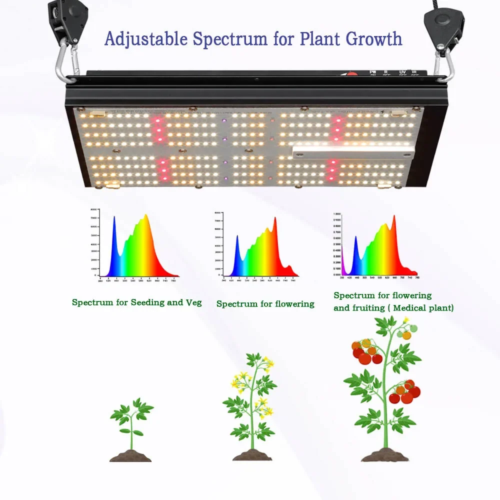 BAVAGREEN Hydroponic System Sm - đánh giá và giá Grow Tent Complete Kit