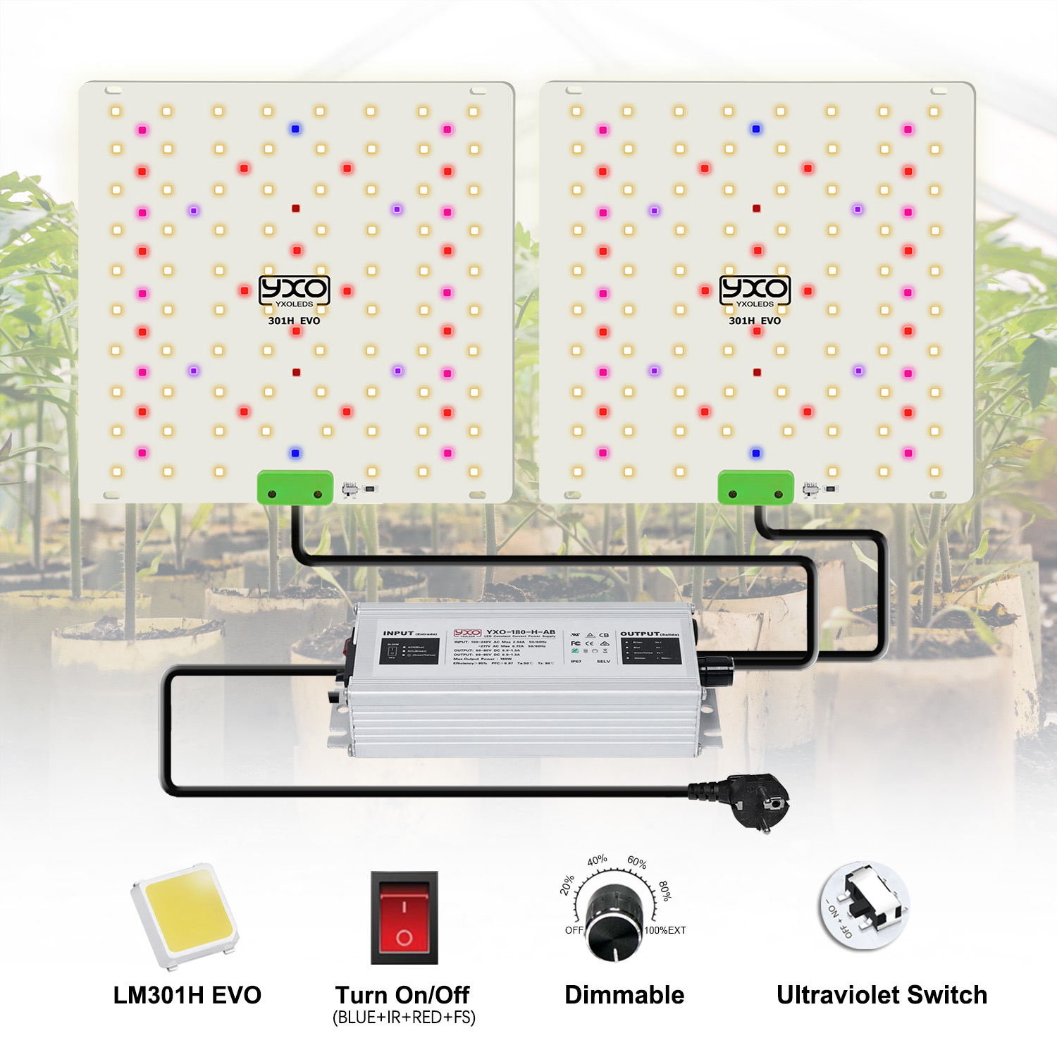 85W 180W LM301H EVO Quantum LE - đánh giá và giá Grow Tent Complete Kit
