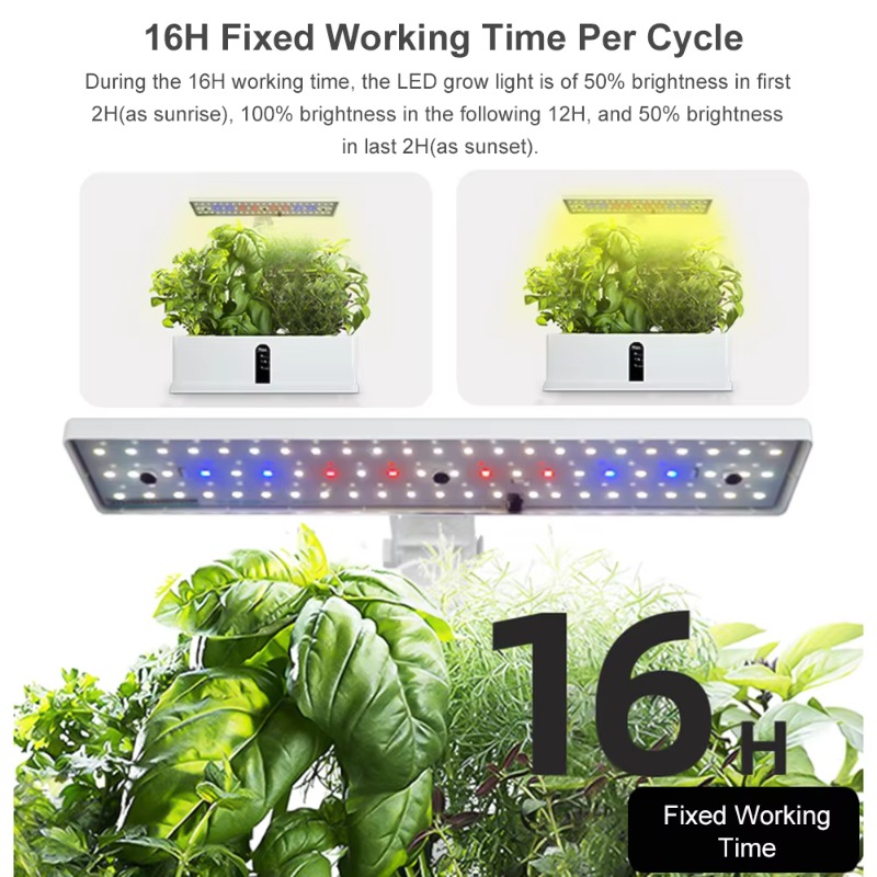9 Pods Smart Hydroponics Growi - đánh giá và giá Smart Garden