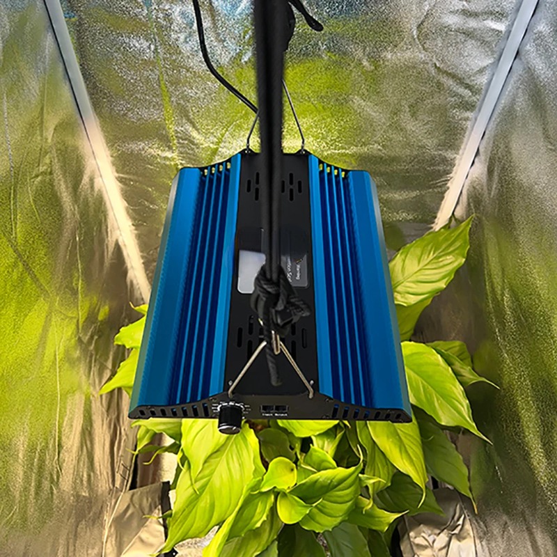 60*60*160cm Plant tent + Board - đánh giá và giá Grow Tent Complete Kit